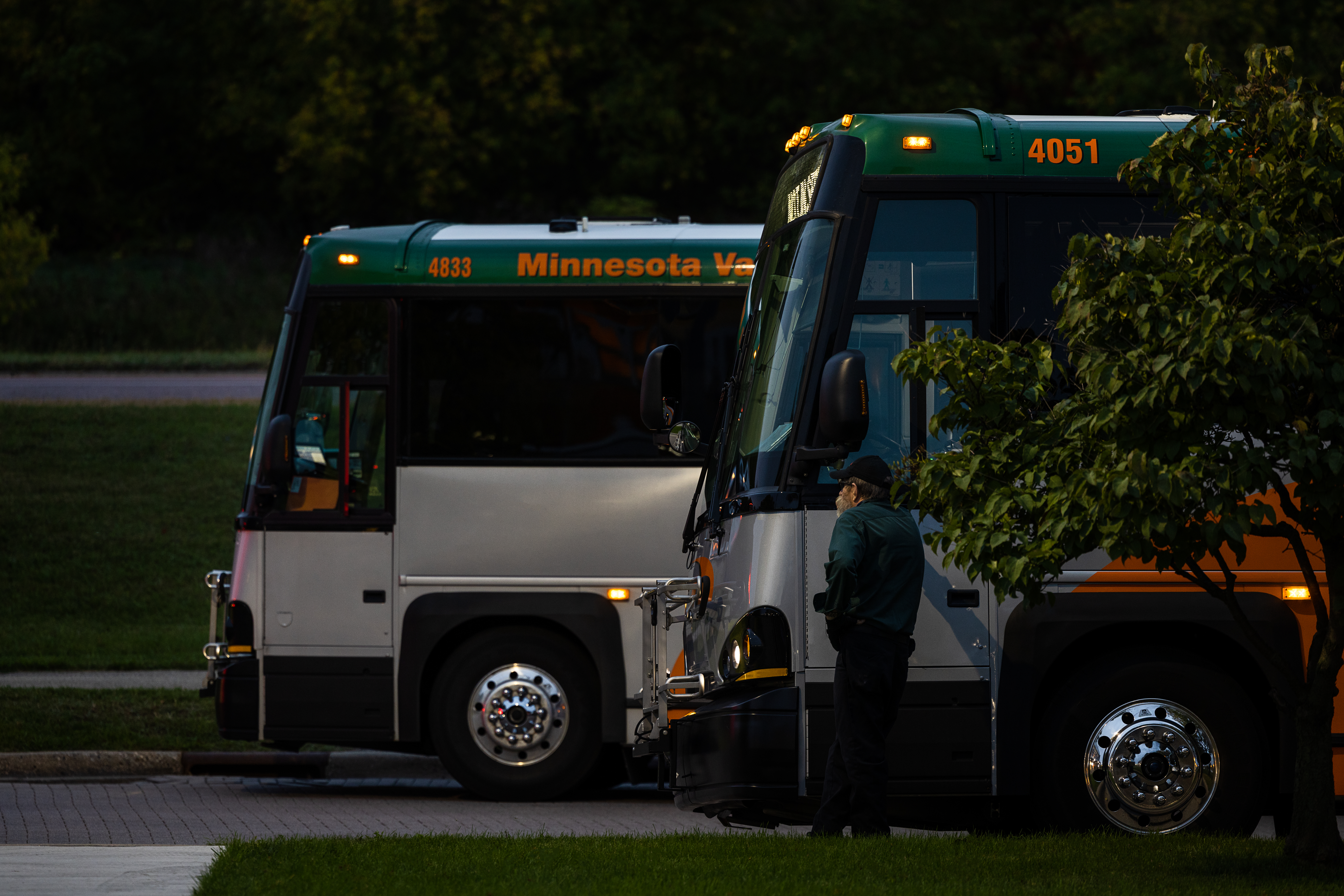 Two busses, parked side-by-side on a cobblestone street. Surrounded by grass and trees. It looks to be twilight and a bus driver is standing near his bus.